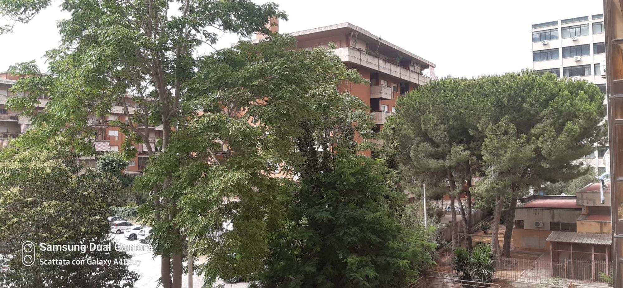 Appartamento Frael Palermo Esterno foto